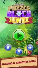 Block Puzzle Jewels Legend!截图5