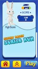 Pet Subway Runner - Rabbit Rush截图1