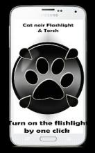 Miraculous Flashlight and torch Cat noir截图2