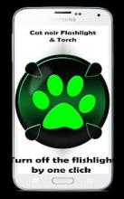 Miraculous Flashlight and torch Cat noir截图1