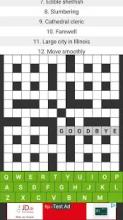Classic Crosswords Puzzle Game截图4