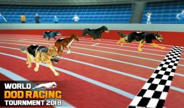 World Dog Racing Tournament 2018: Crazy Dog Race截图2