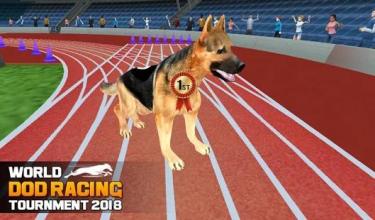 World Dog Racing Tournament 2018: Crazy Dog Race截图1