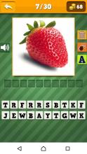 Fruit Quiz for Kid截图1