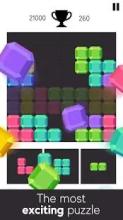 Block Puzzle Super Light截图3