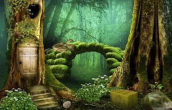 Escape Game Studio - Mysterious Forest截图4