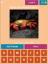 Guess the Animal Quiz截图2