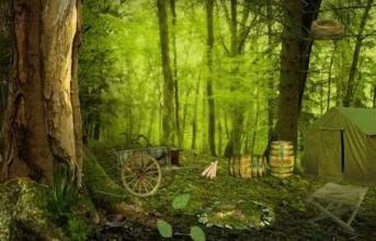 Escape Game Studio - Mysterious Forest截图5