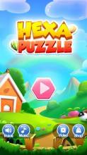 Hexa Puzzle Fever - Classic Block Puzzle截图3