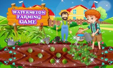 Watermelon Farming Game截图1