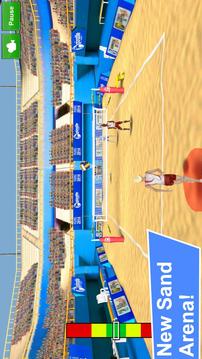 Volleyball Champions 3D 2014截图