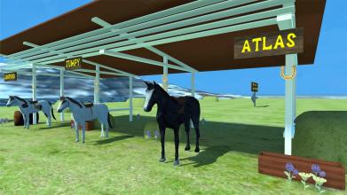 Horse Show Jumping VR截图2