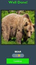 Best Guess Animals Quiz - Free截图1