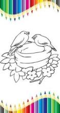 Bird Coloring Game截图4