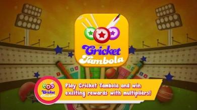 Cricket Tambola截图5