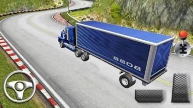 Truck Driver Simulator Real截图3