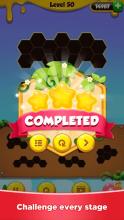 Hexa Puzzle - Block Puzzle Master截图3