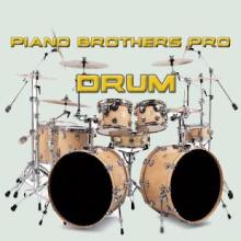 piano brothers pro截图2