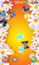 Butterfly Raising - My Butterfly garden截图3