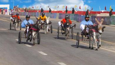 Donkey Cart Racing Simulator: Cart Transporter截图5