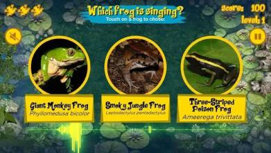 Singing Frogs截图5