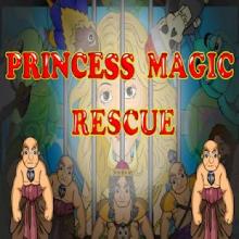 Princess Magic Rescue截图4