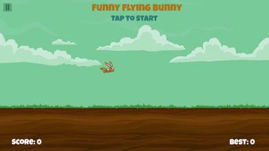 Funny Flying Bunny - Flying Game截图2