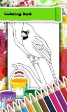 Bird Coloring Book截图2