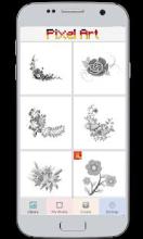 Flower Coloring by Number截图4