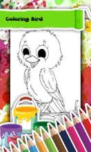 Bird Coloring Book截图3