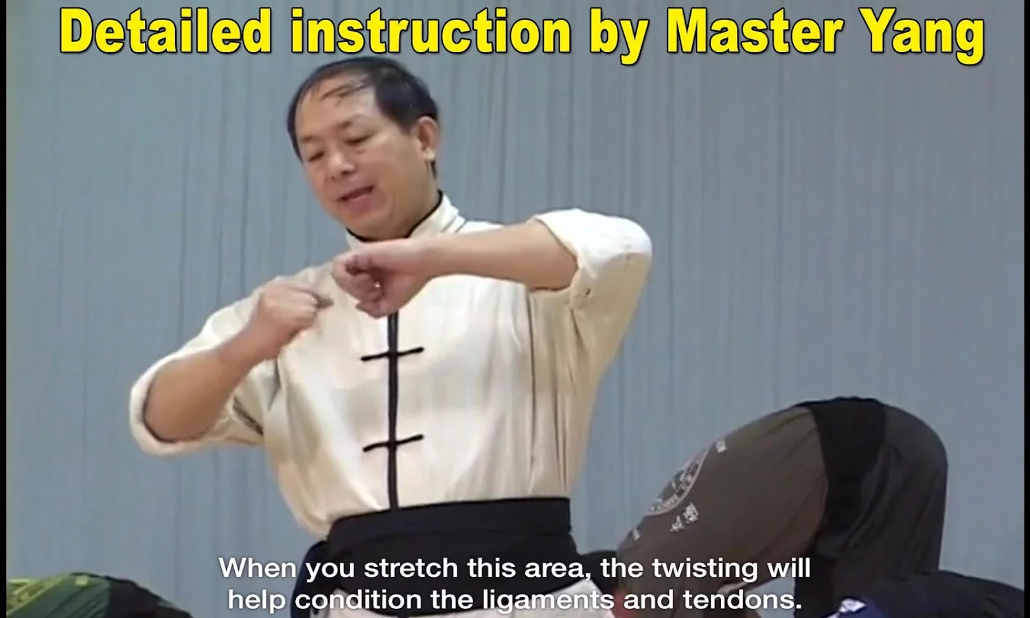 Shaolin Kung Fu Training截图1