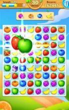 Bingo Fruit - New Match 3 Puzzle Game截图5