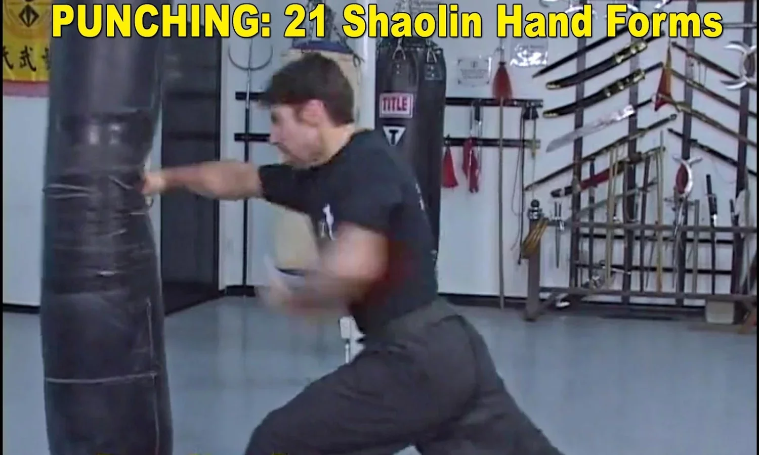 Shaolin Kung Fu Training截图2