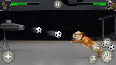 Dog Kung fu Training Simulator: Karate Dog Fighter截图5