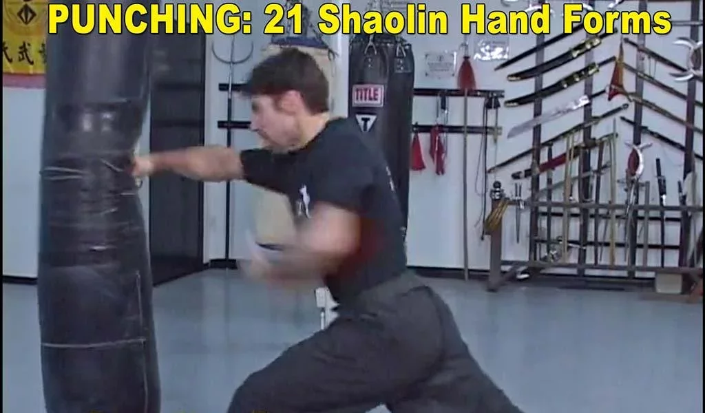 Shaolin Kung Fu Training截图3