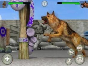 Dog Kung fu Training Simulator: Karate Dog Fighter截图3