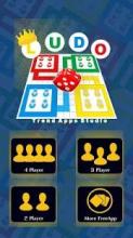 Ludo Game & Ular Tangga PRO截图5