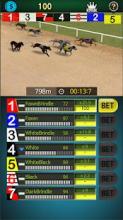 Pick Dog Racing截图3