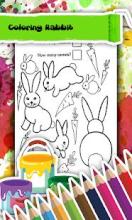 Rabbit Coloring Book截图2