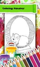 Hamster Coloring Book截图1