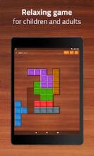 Wood Block Puzzle Game截图3