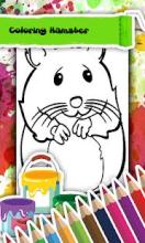 Hamster Coloring Book截图3