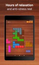 Wood Block Puzzle Game截图1