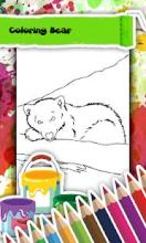 Bear Coloring Book截图3