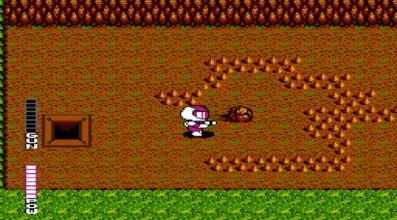 Blaster Master Nes截图4