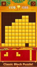 Puzzle Block Wooden Pieces截图3