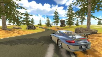 911 GT3 Drift Simulator 2截图1