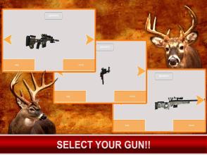 Big Buck Deer Hunter Safari - Rapid Shooting Game截图5