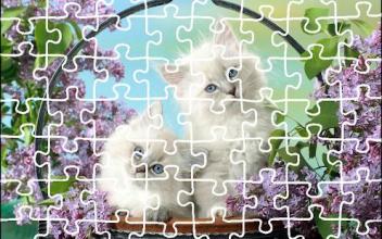 Cat Jigsaw Puzzle King截图4