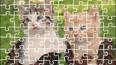 Cat Jigsaw Puzzle King截图2